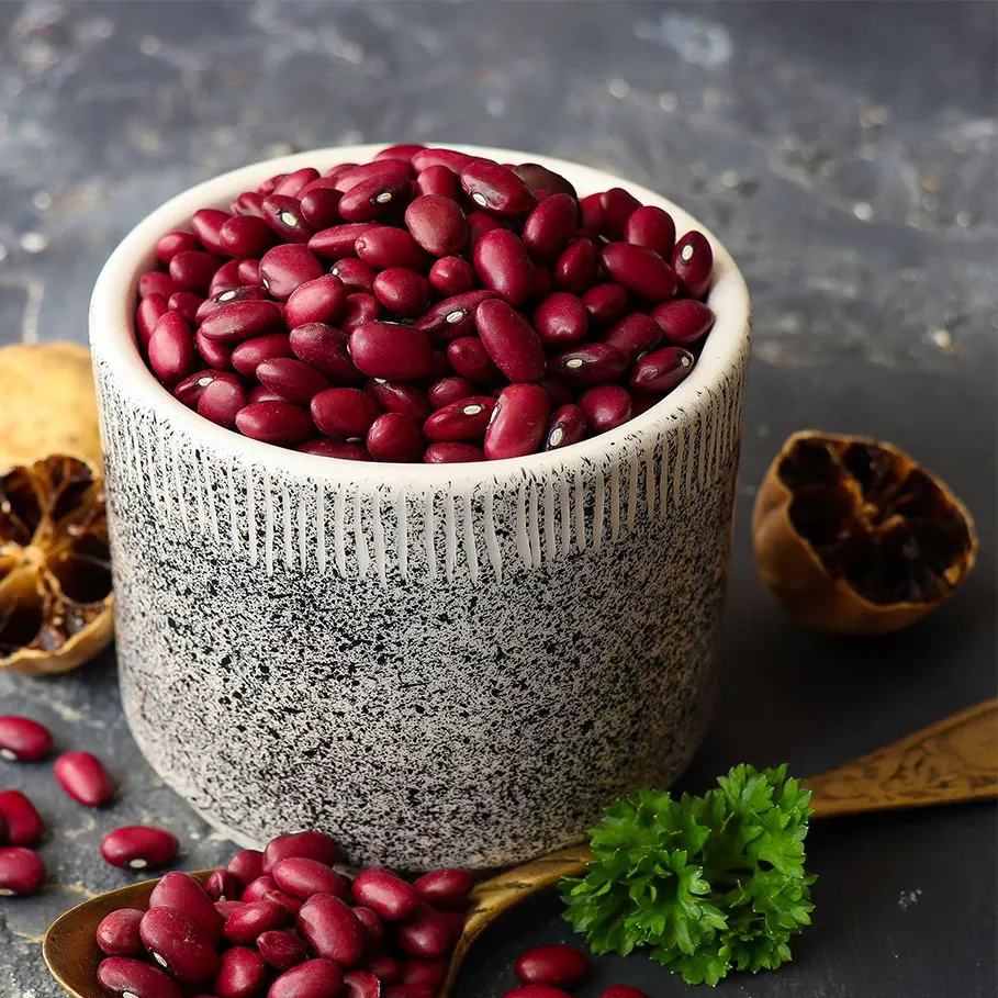 لکتین (Lectin)