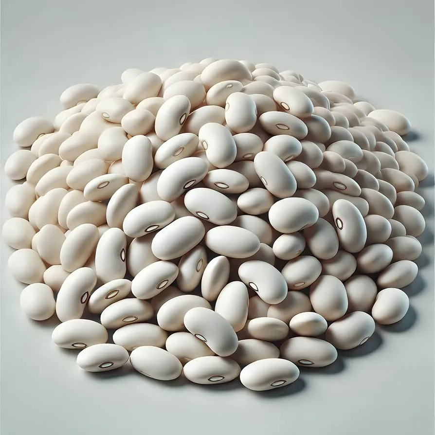 لوبیا سفید - Navy Bean