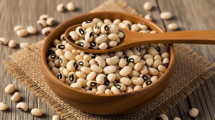 لوبیا چشم‌بلبلی - Cowpea - تصویر 3