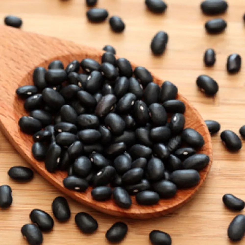 لوبیا سیاه - Black Bean - تصویر 2