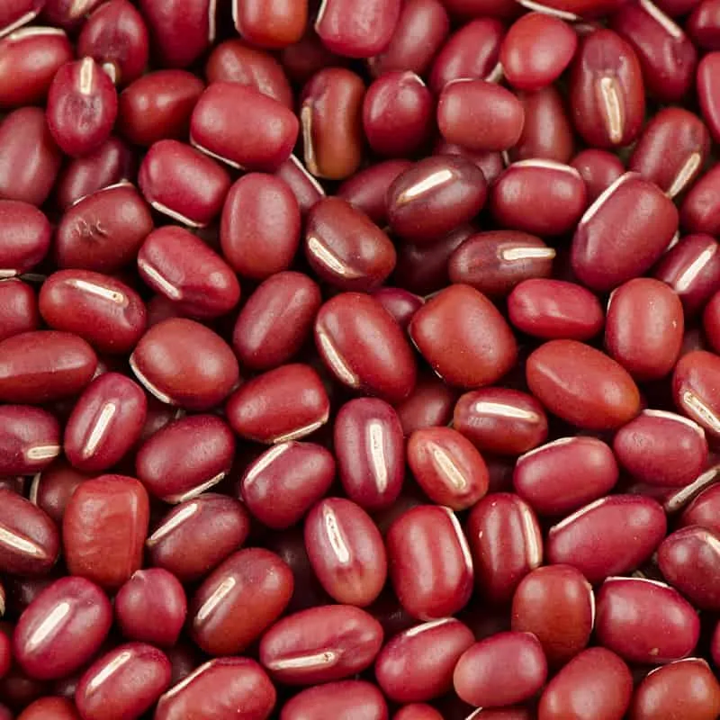 لوبیا آزوکی - Azuki Bean