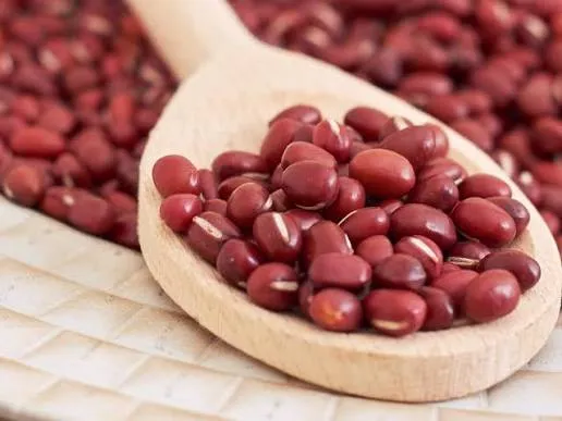 لوبیا آزوکی - Azuki Bean - تصویر 3