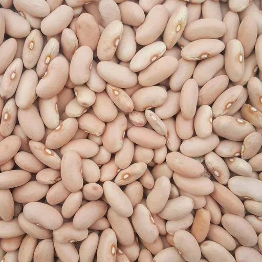 لوبیا کانولینی - Cannellini Bean - تصویر 3