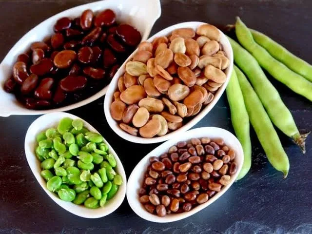 باقلا (لوبیا فاوا) - Fava Bean - تصویر 2