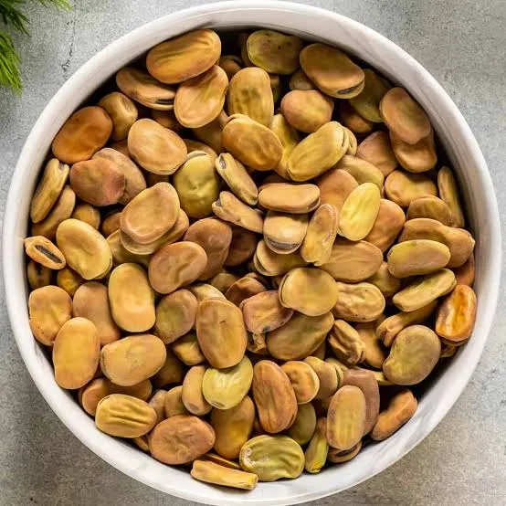 باقلا (لوبیا فاوا) - Fava Bean - تصویر 4