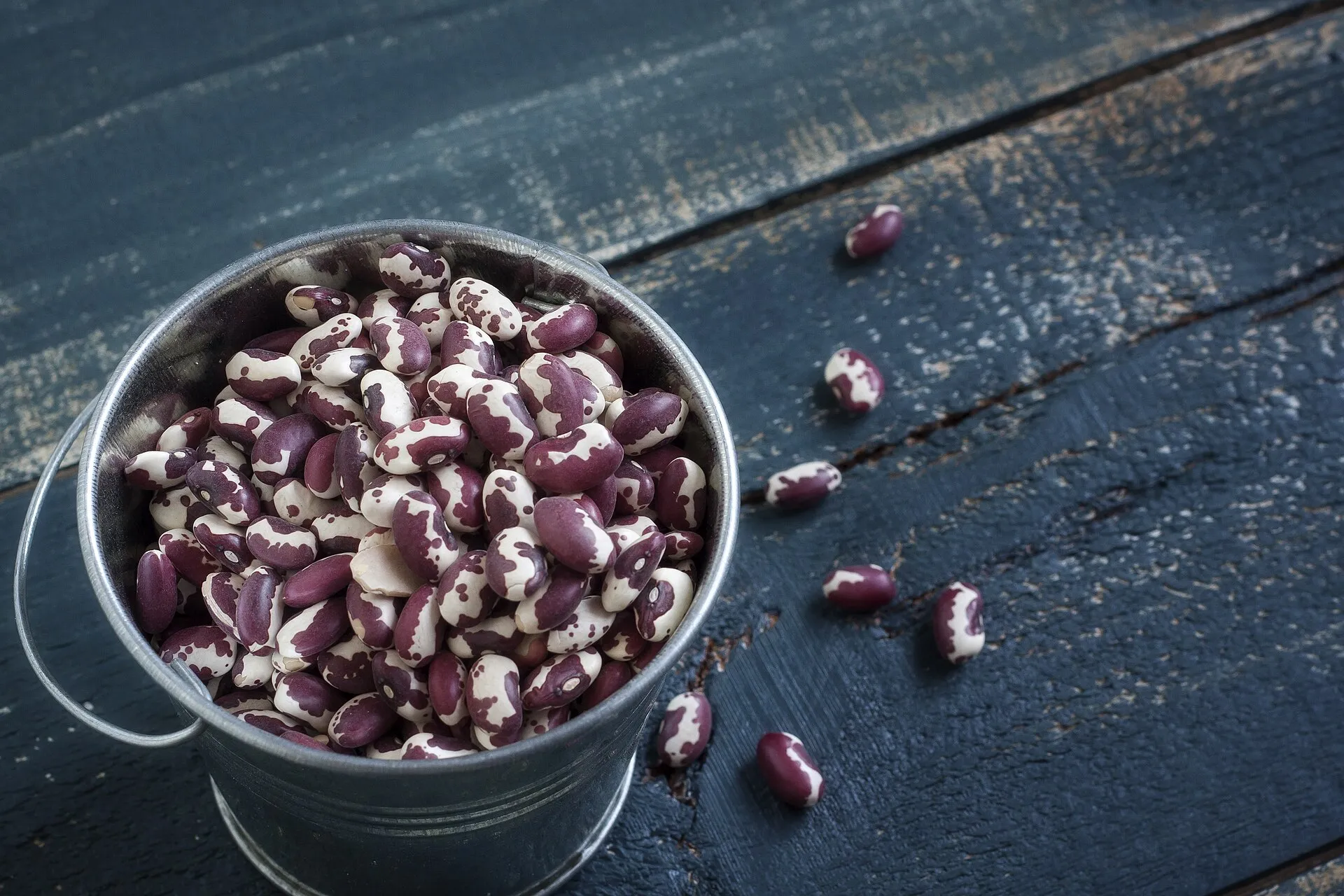 لوبیا آناسازی - Anasazi Bean - تصویر 2