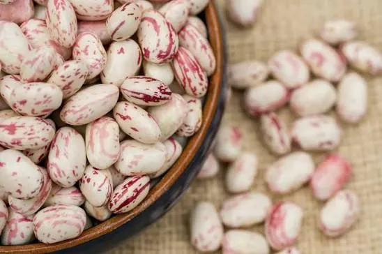 لوبیا کرنبری - Cranberry Bean - تصویر 4